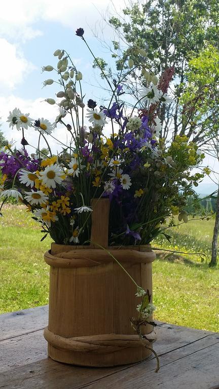 Homestay Djerkovic Žabljak Cameră foto