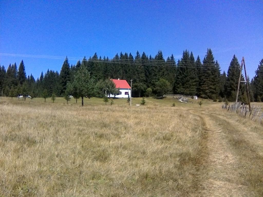 Homestay Djerkovic Žabljak Exterior foto